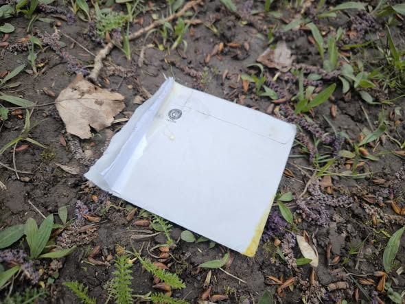 yolanda schultes tweet media