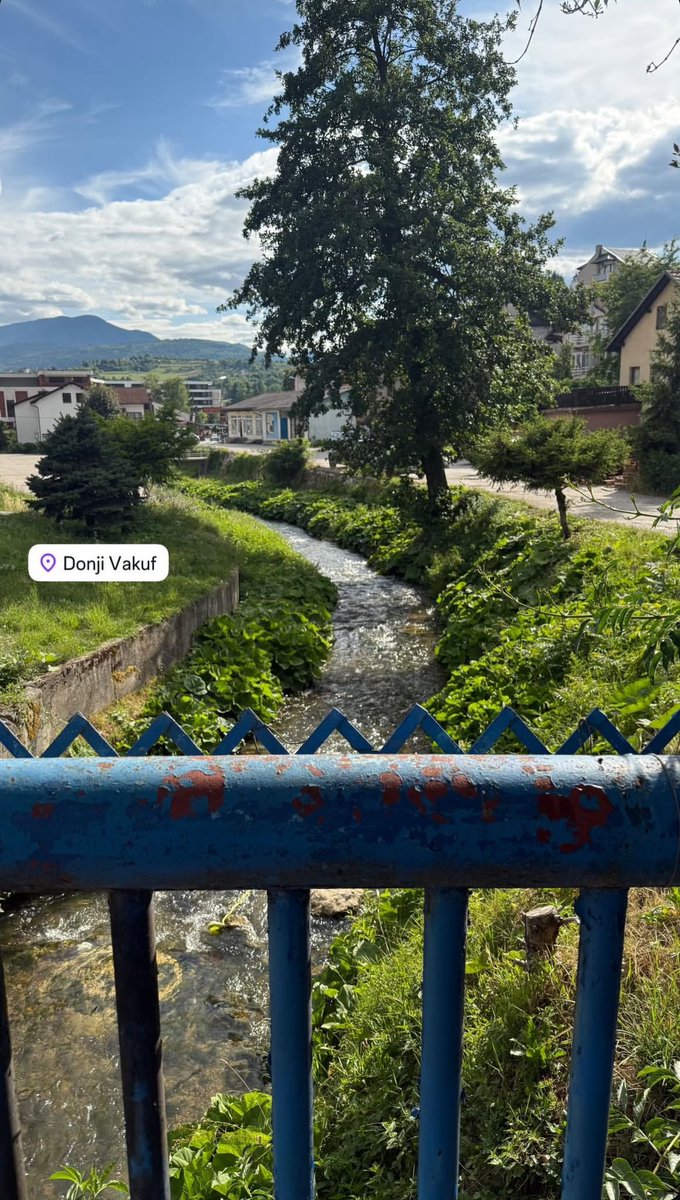 🇸🇦 tweet media