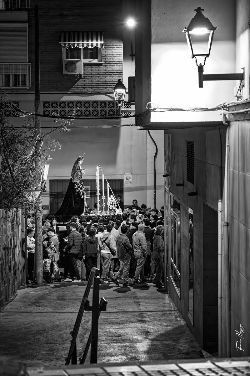 Francisco Mayorga 📷 tweet media