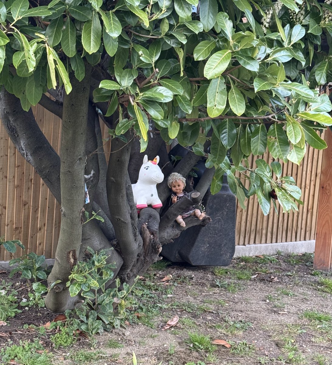 🧍🏻‍♀️ tweet media