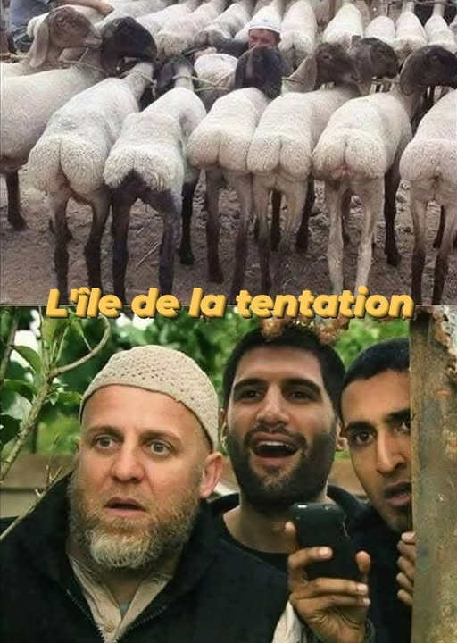 🇫🇷Olivier92🇺🇸 tweet media