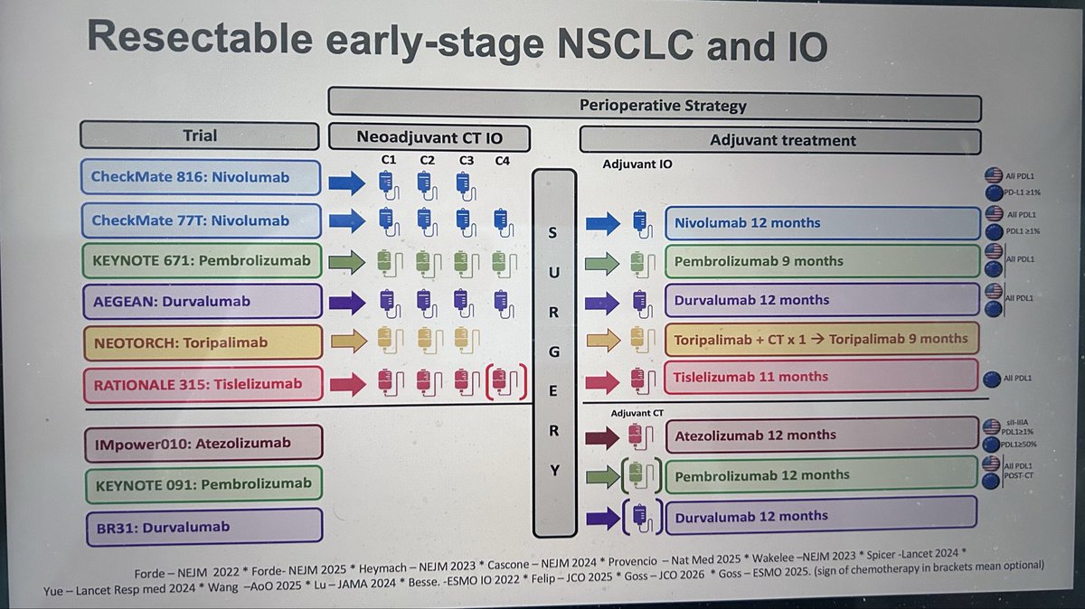 Jordi Remon tweet media