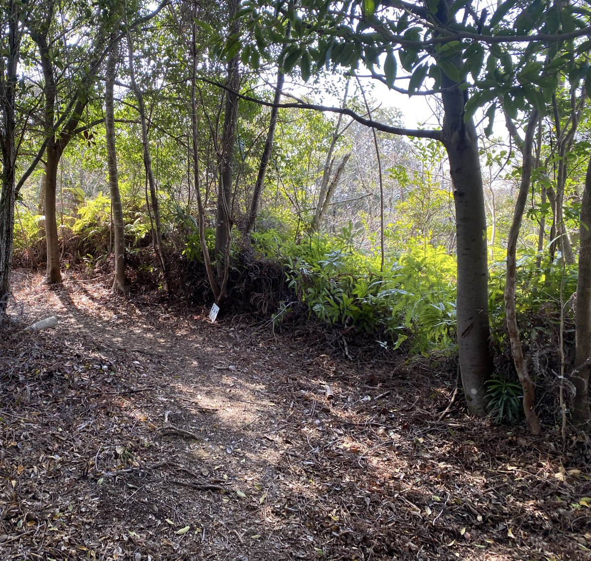 あまや960 tweet media