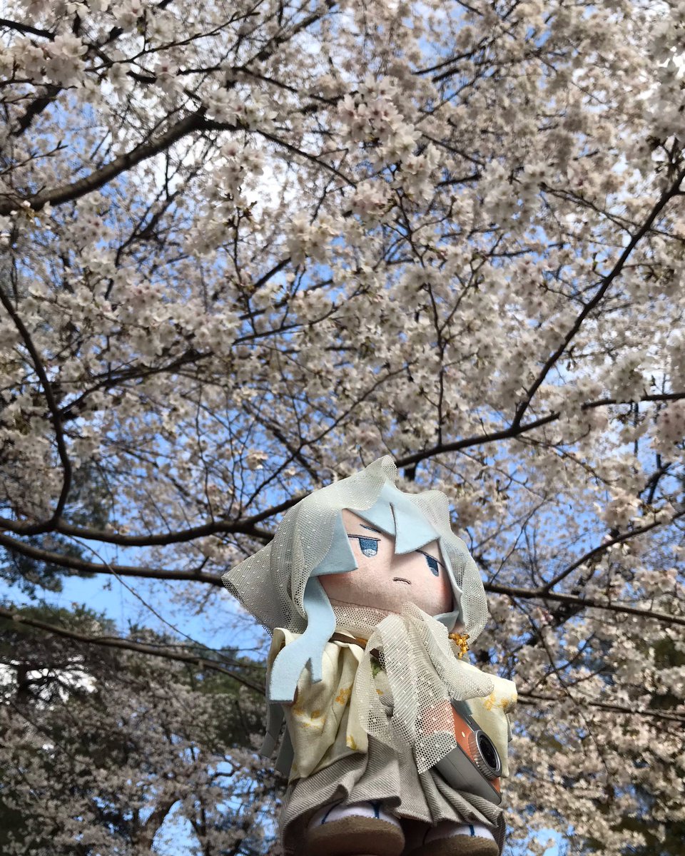 せつか tweet media