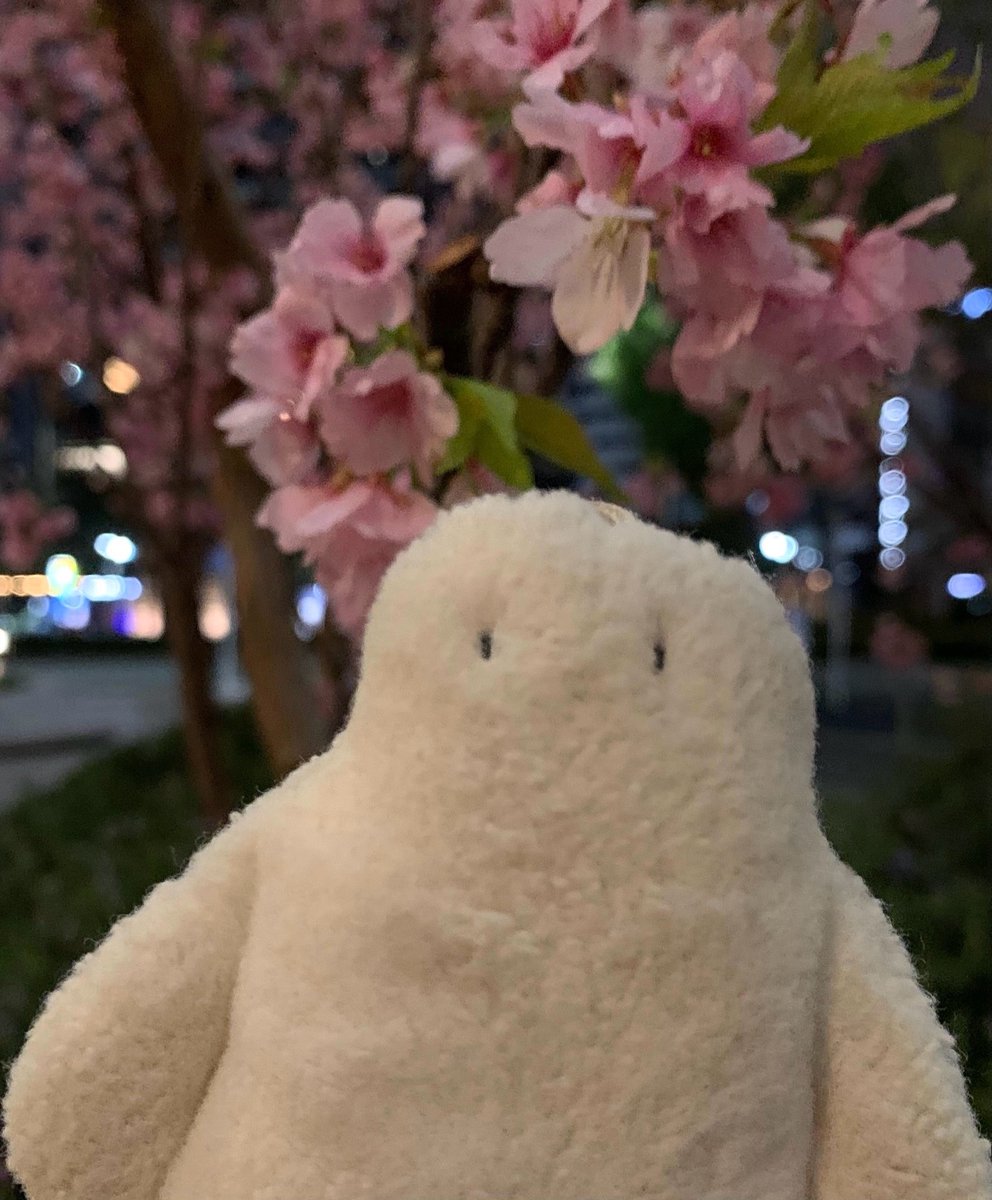 musicandapan tweet media