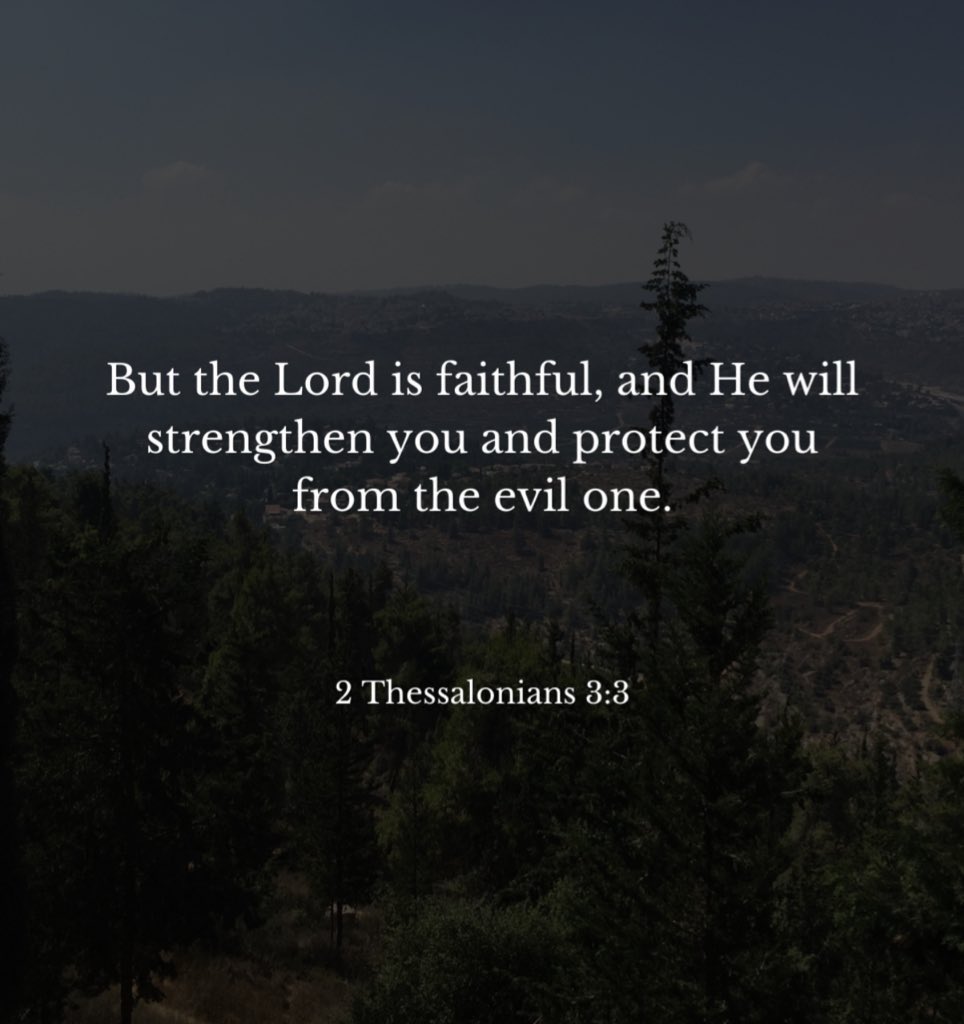 Holy Bible tweet media