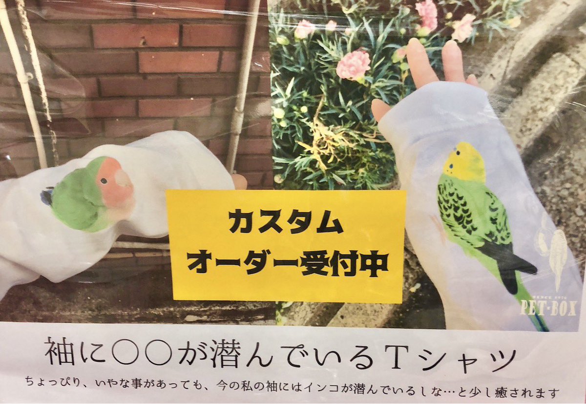 PET-BOX(小鳥と雑貨屋) tweet media
