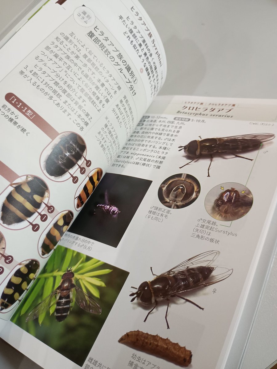 Tatsunori KUMAZAWA tweet media