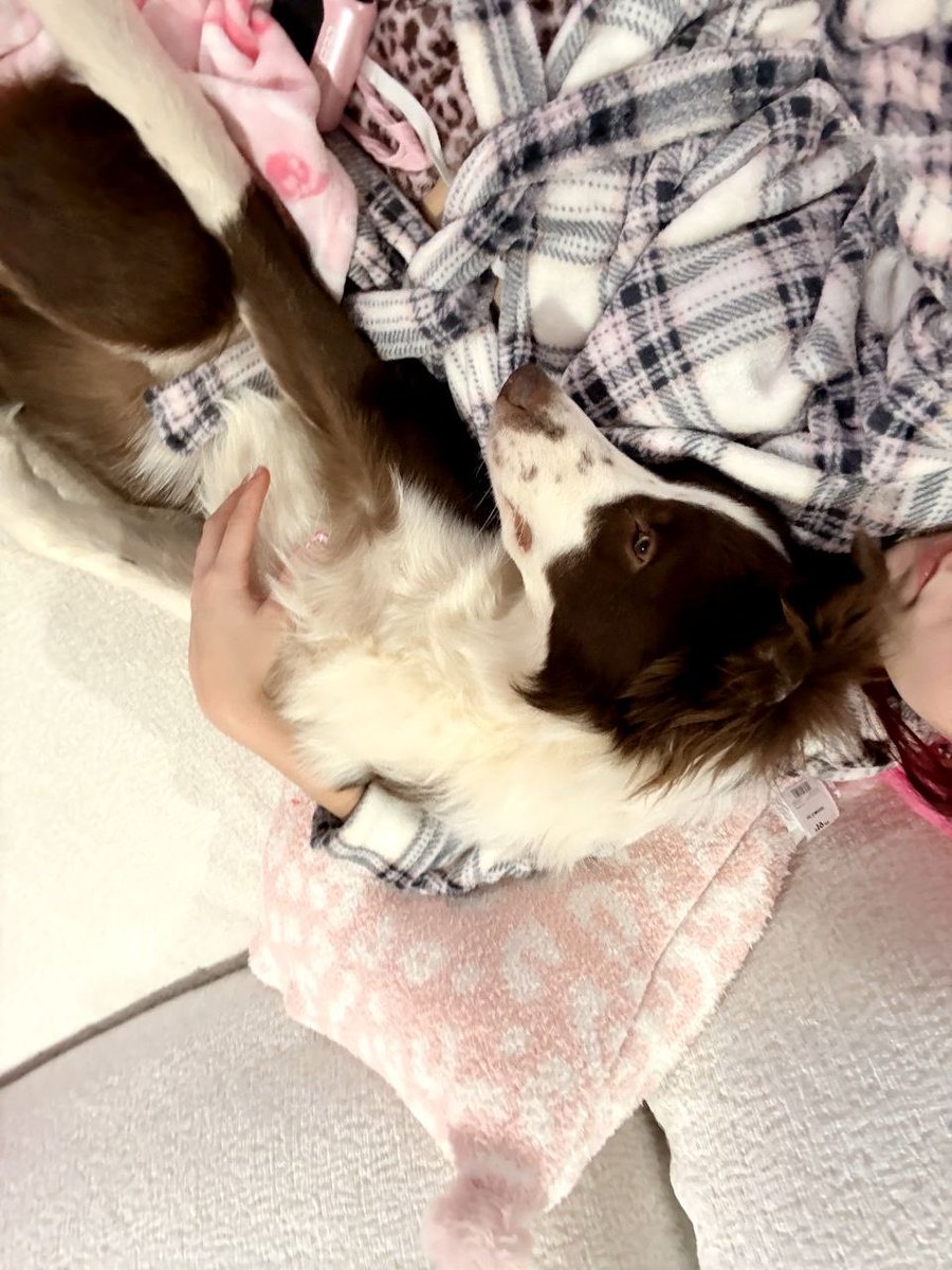 clumsyalice08's tweet photo. not moving anytime soon https://t.co/93kW9Vigsw