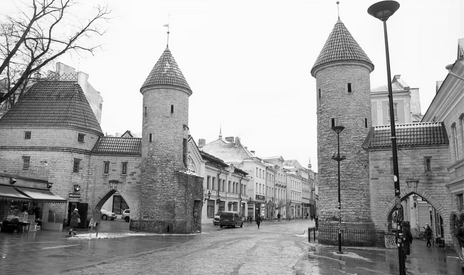 ‘A Norwegian Tourist’ by Lasse Tur tweet media