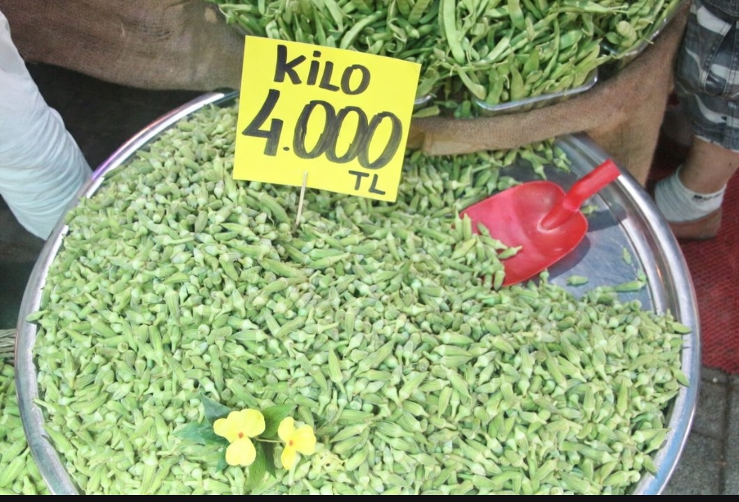 Sebzeci Kedi tweet media