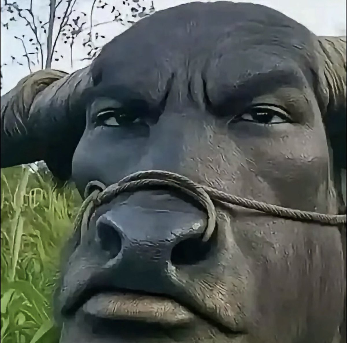 ستارئـ tweet media