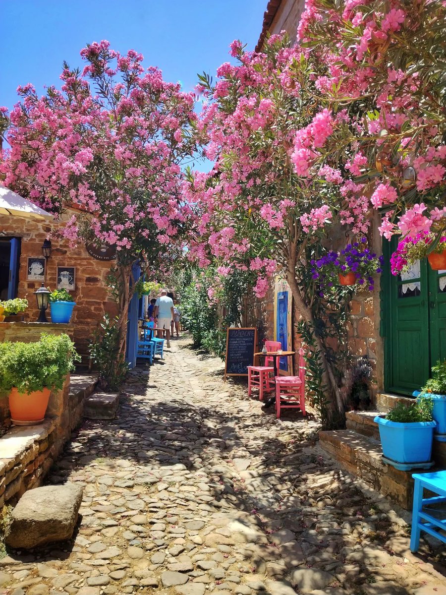 terrascobe's tweet photo. Gökçeada, Türkiye https://t.co/i20Dc1JFH0