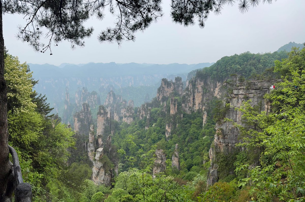 Pont & Cas Express tweet media