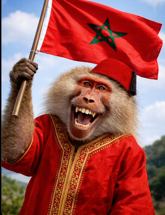 Oum Sajed 🚩 tweet media