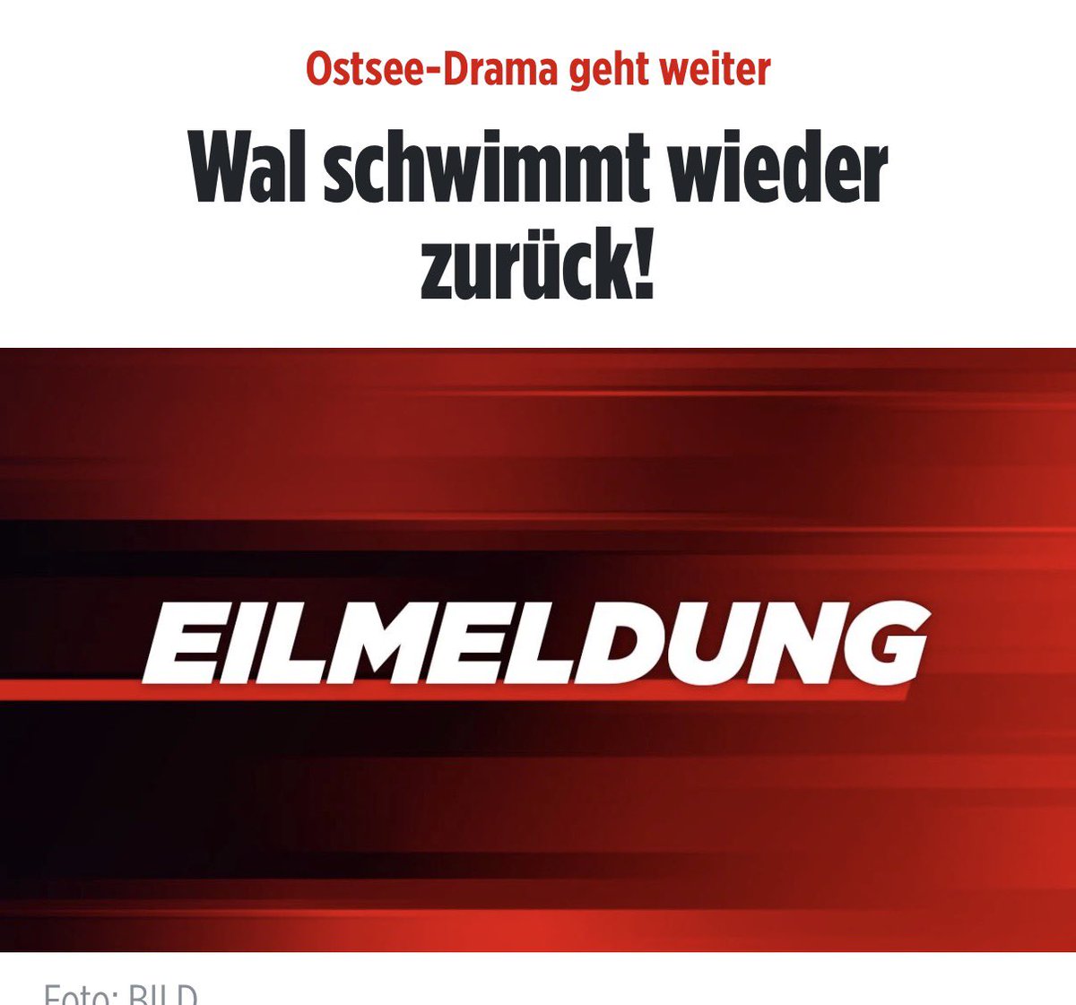 Micky Beisenherz 🍌 tweet media