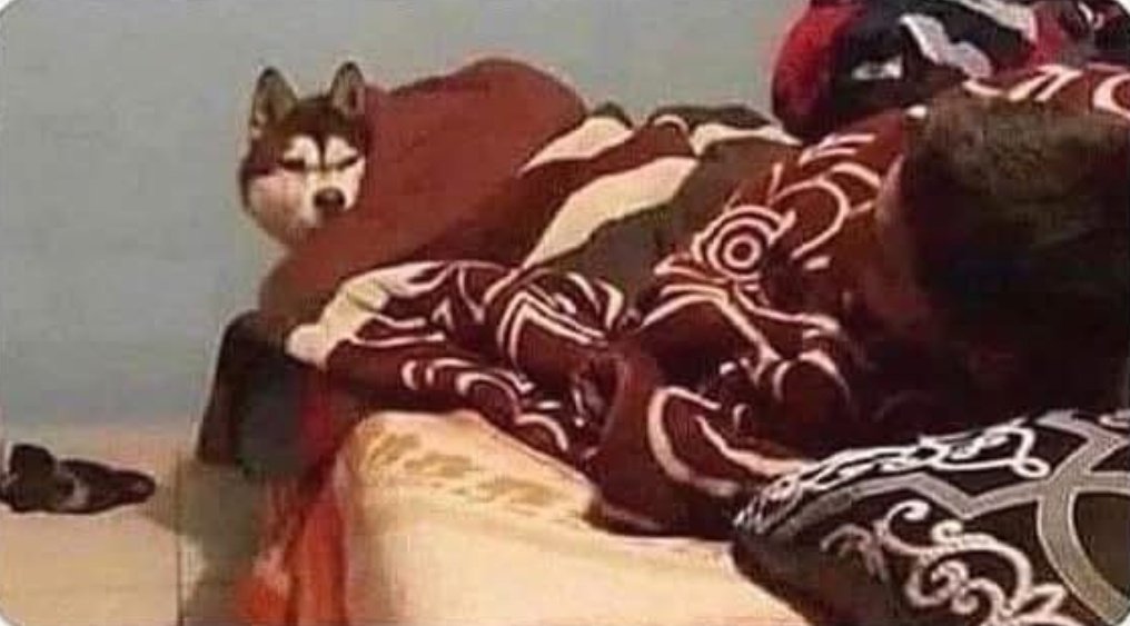 OSAS🦅 tweet media