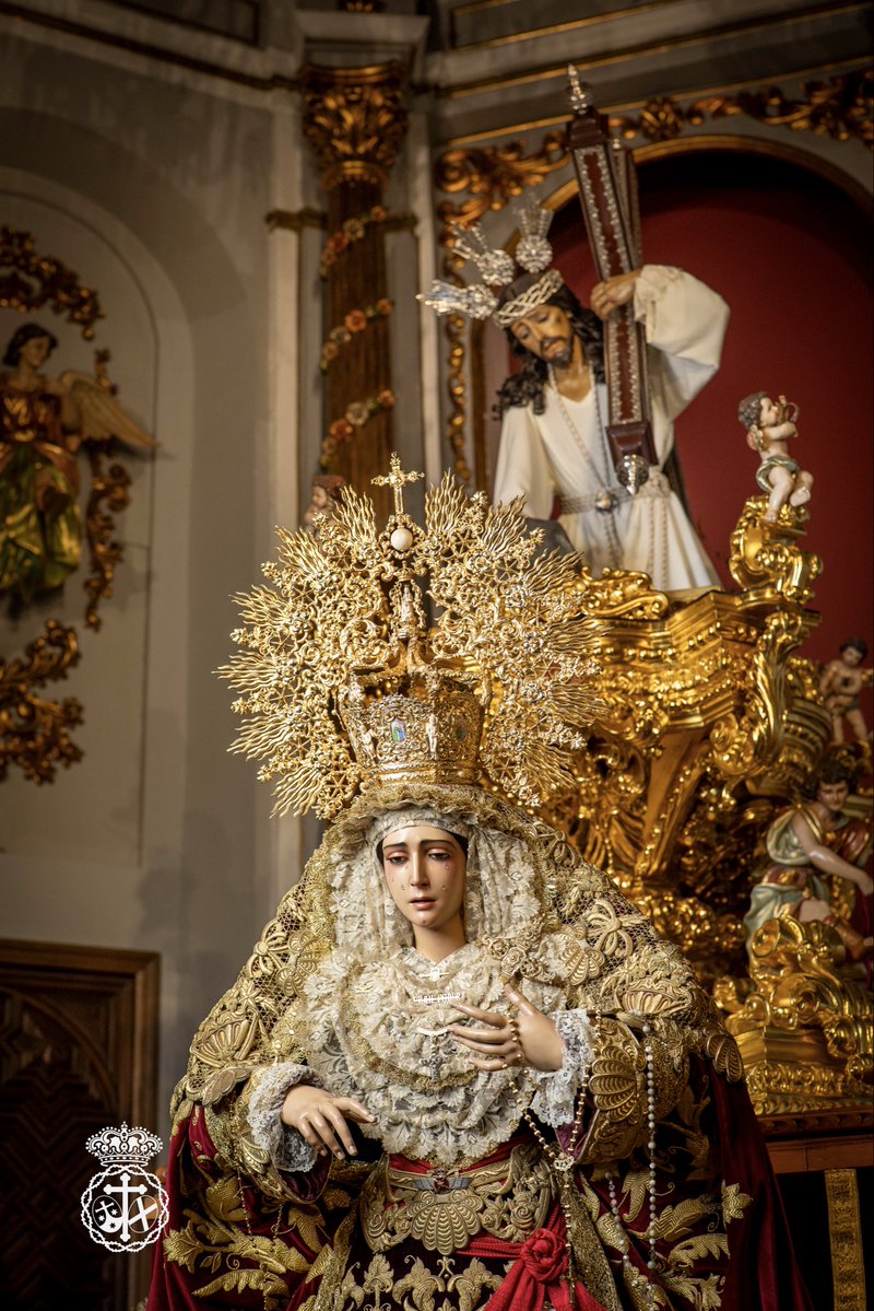 Misericordia Málaga tweet media