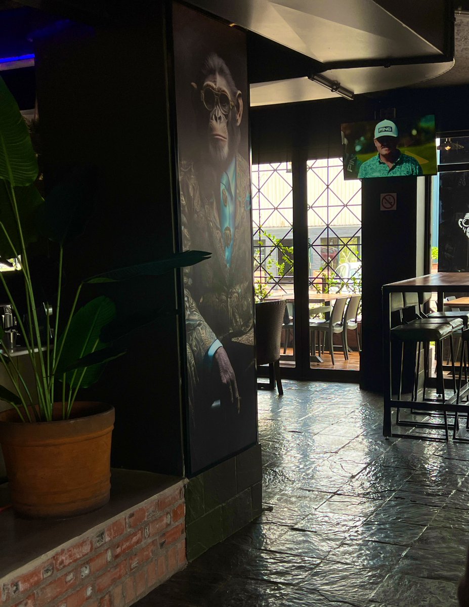 Lucas The Trainer tweet media