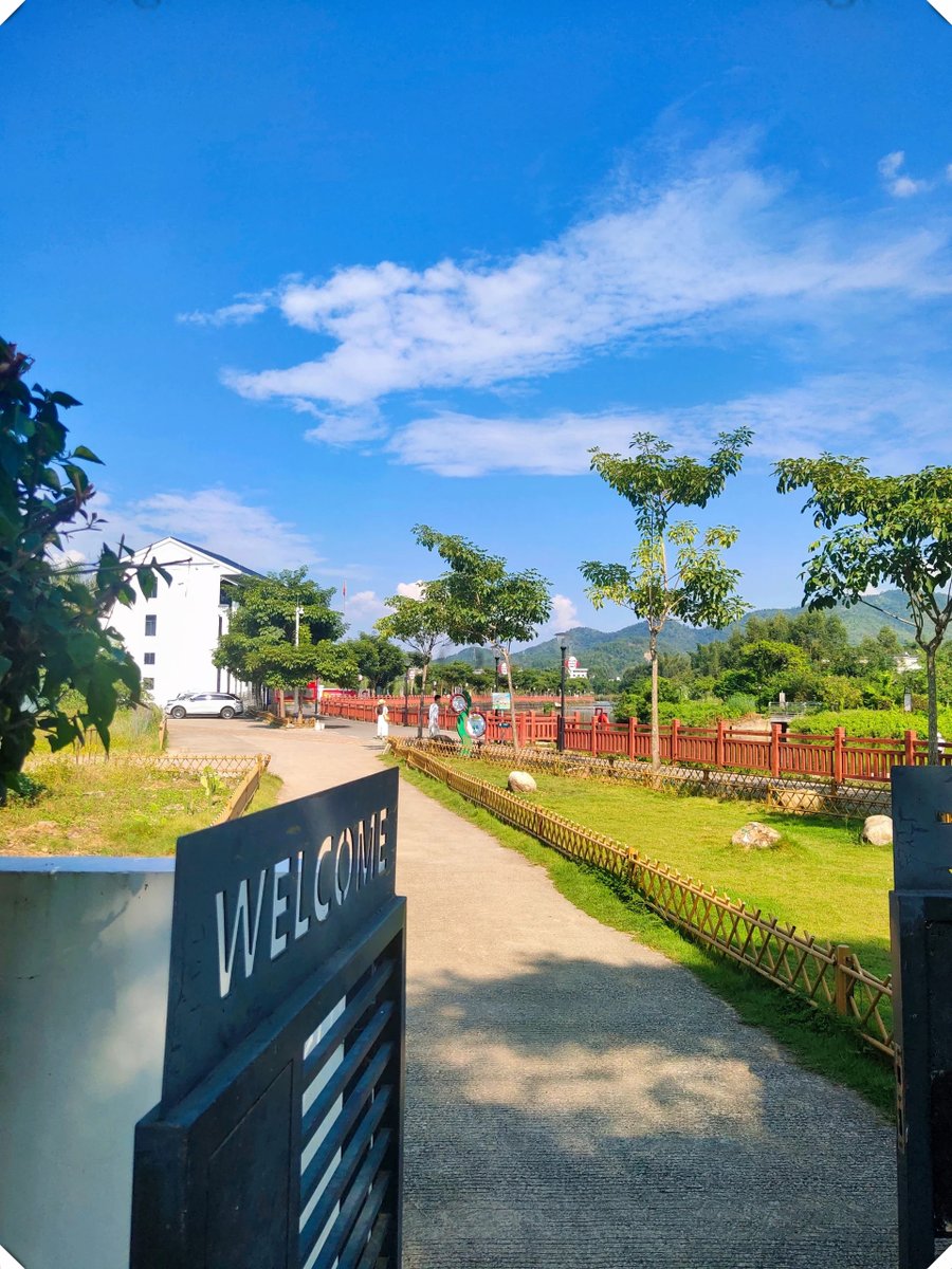 Patty Shaffer tweet media