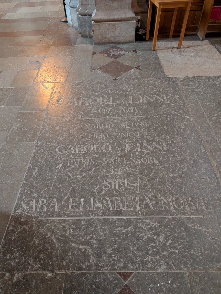 Andrej Spiridonov tweet media