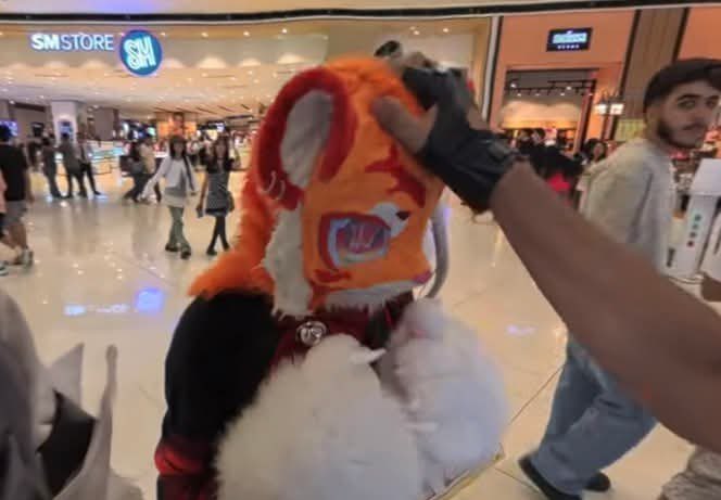 Riku! (ceph) tweet media