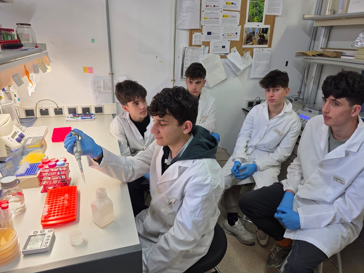 Instituto de Catálisis y Petroleoquímica (CSIC) tweet media