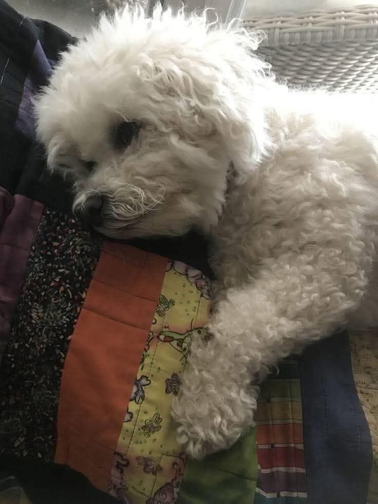 Sara Mary ⭐❤️ tweet media