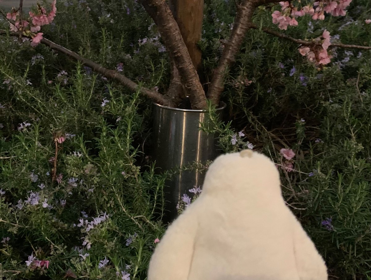 musicandapan tweet media