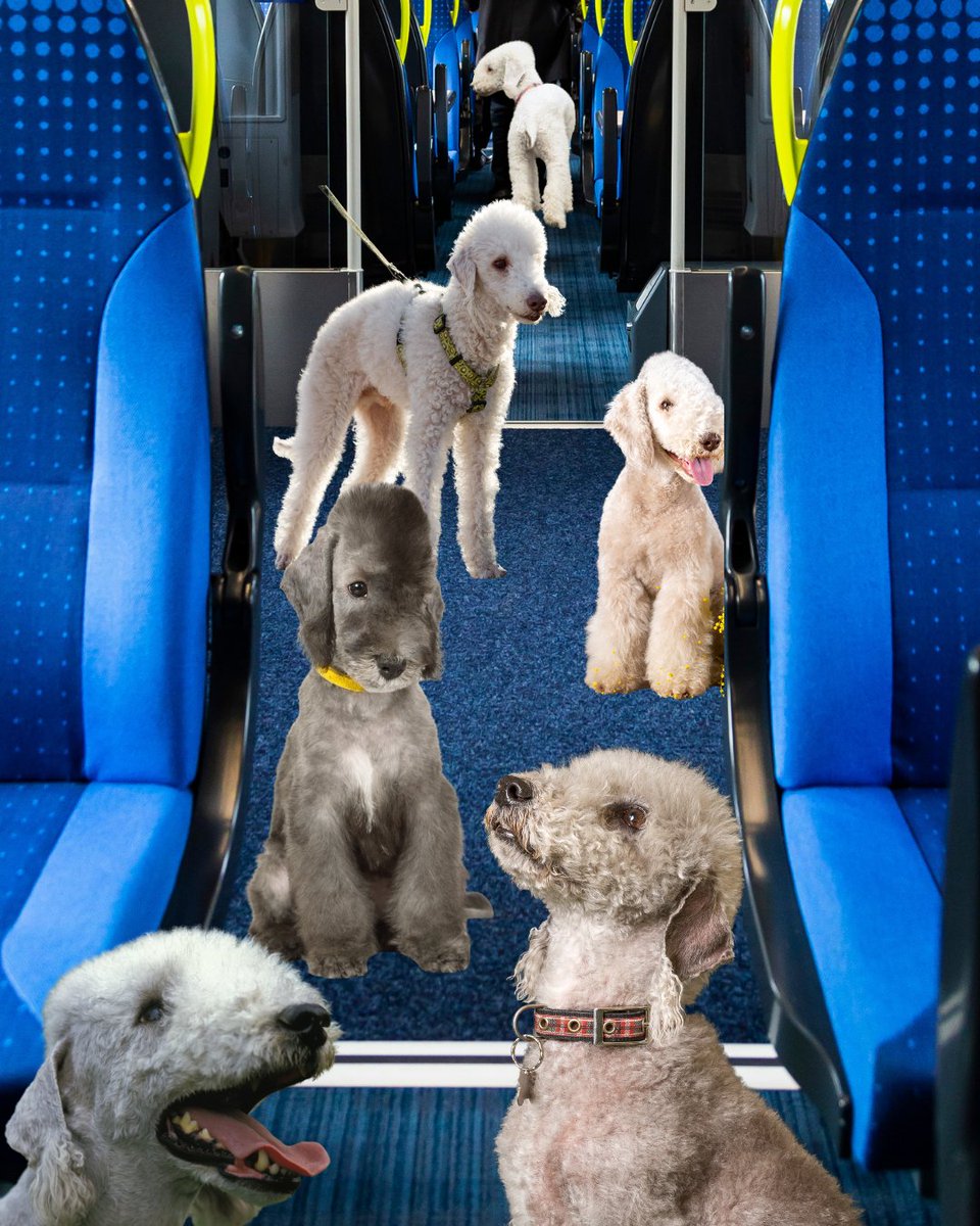 NORTHERN 🚆 tweet media