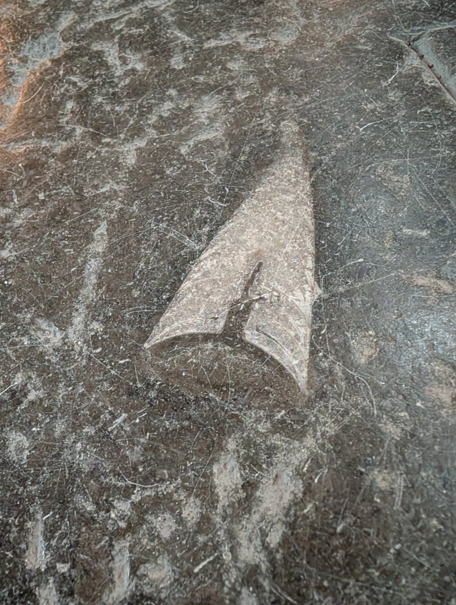 Andrej Spiridonov tweet media