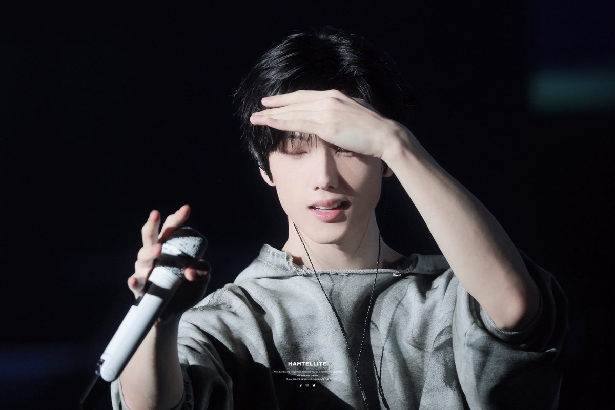 Hamtellite tweet media