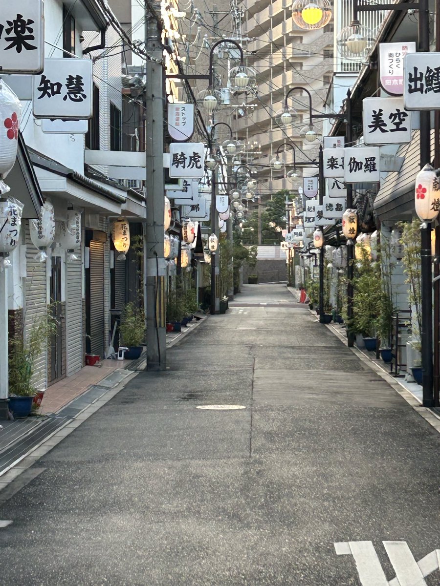 da19917bndt's tweet photo. 風俗街で個人的に一番行ってほしいは大阪の飛田新地なんだよな〜

夜の遊郭としての異世界感も好きだし、朝行くと夜とのギャップがあるから朝の飛田新地も行って欲しい

※女性連れて行くと冷やかしだと思われて客引きの女性に怒られるので注意 https://t.co/EwOq0Zy4Da