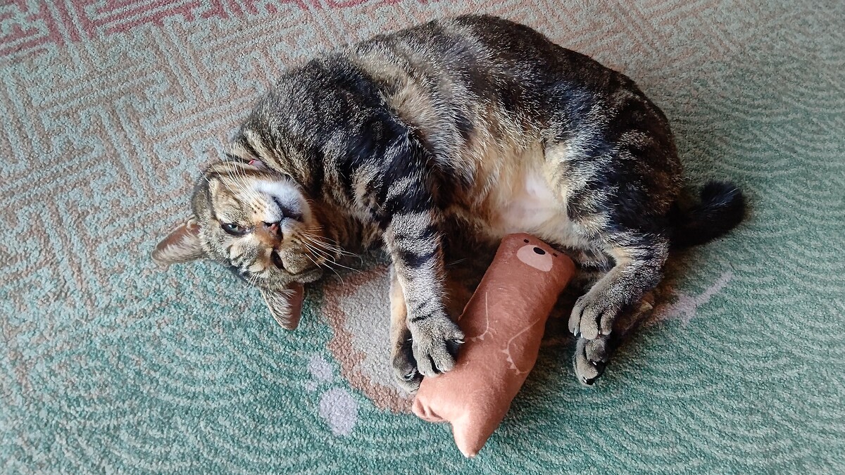 ライブドアニュース tweet media