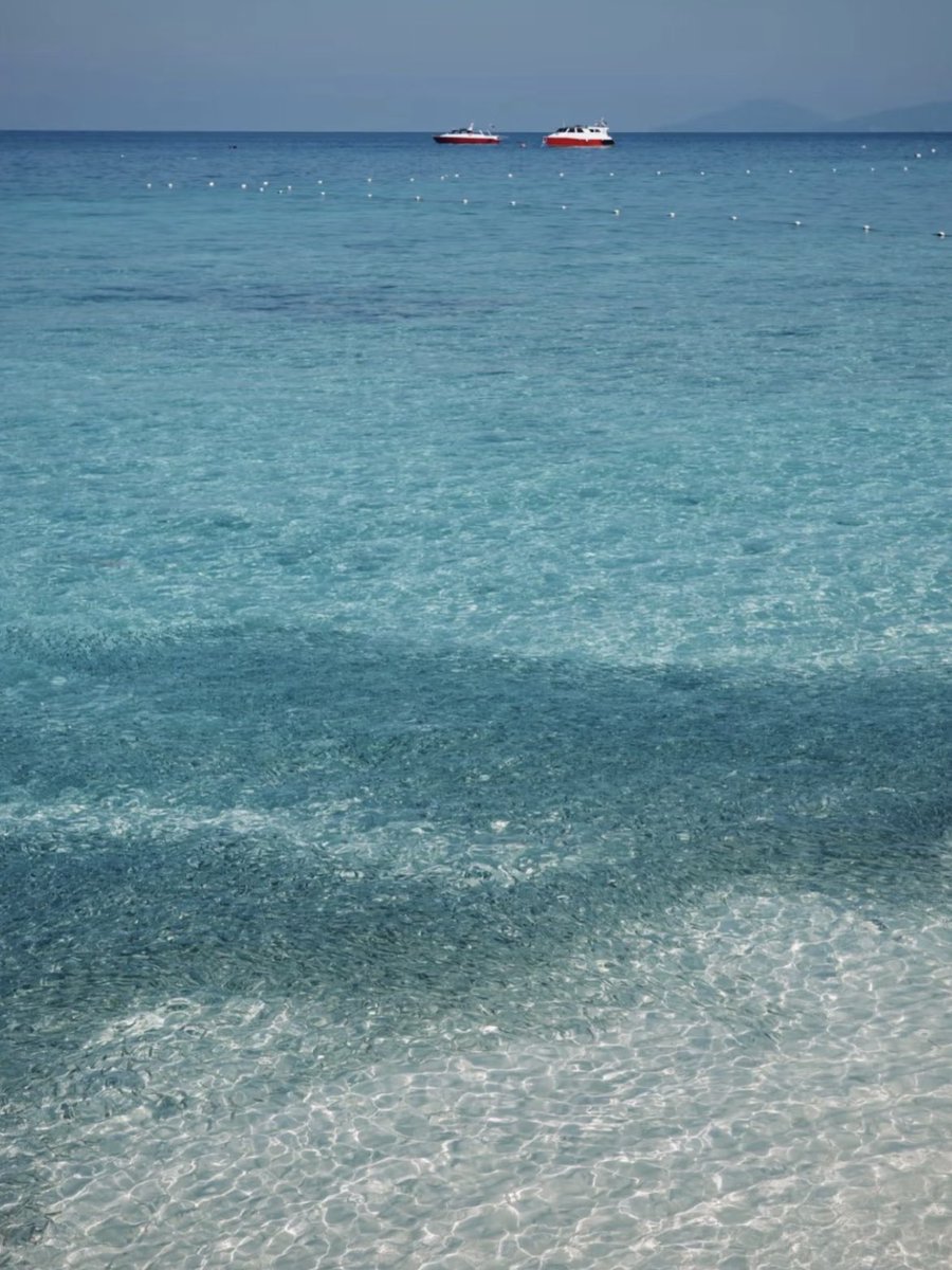 Noorie lova tweet media