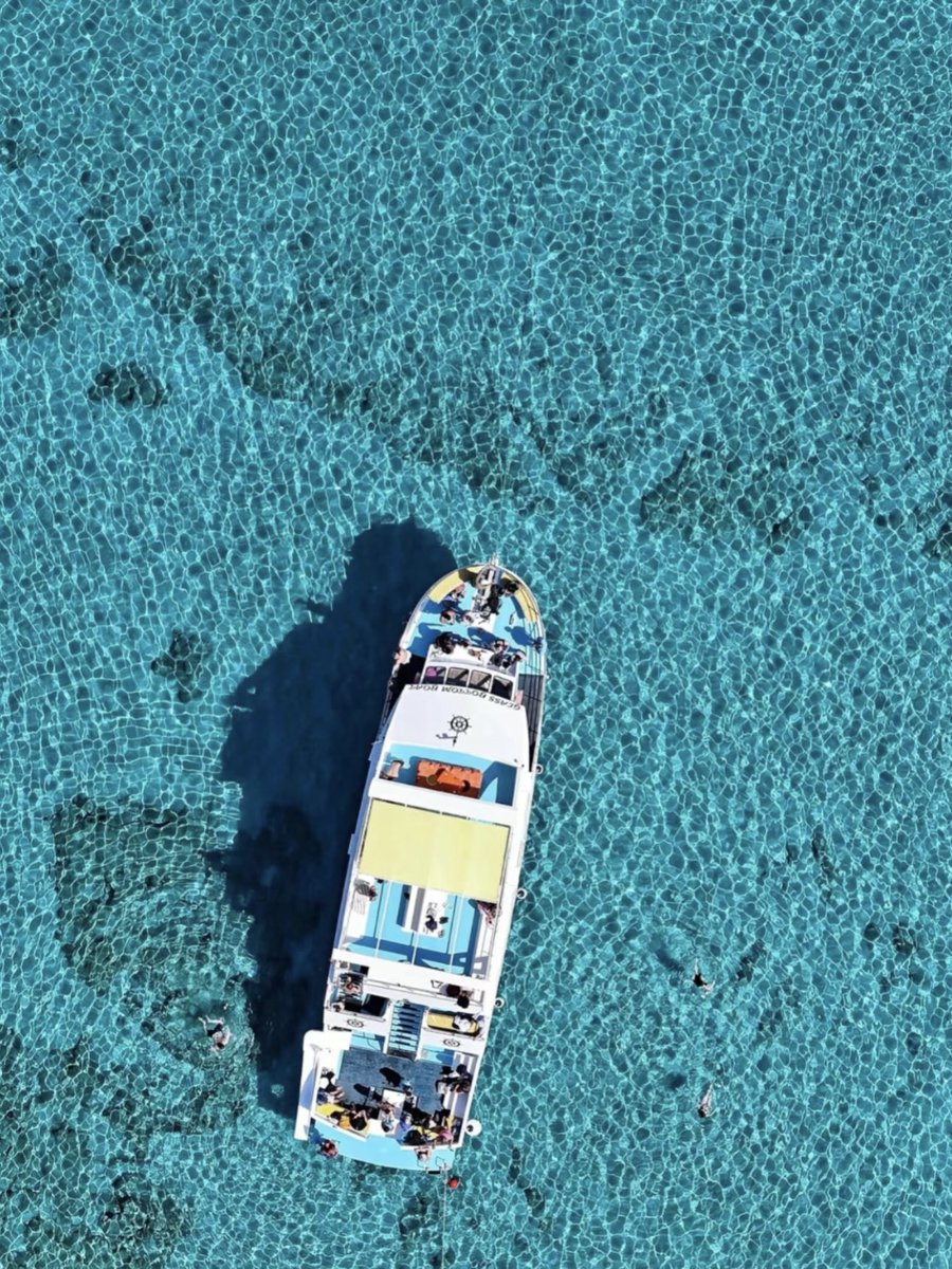 Noorie lova tweet media