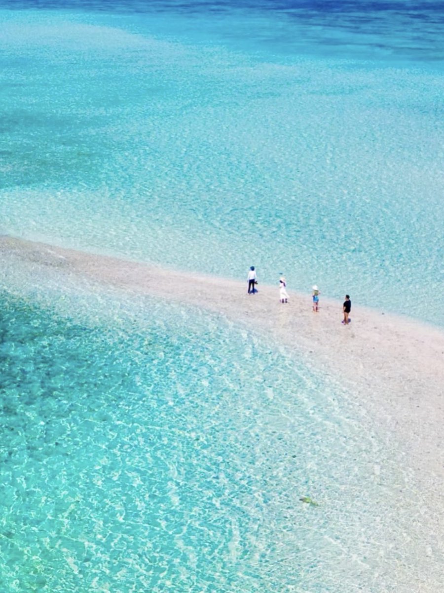 Noorie lova tweet media