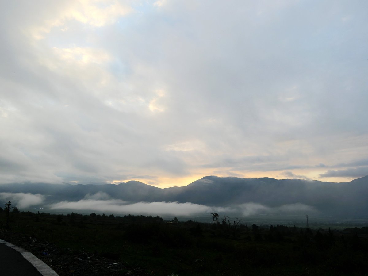 Delia Ioana tweet media