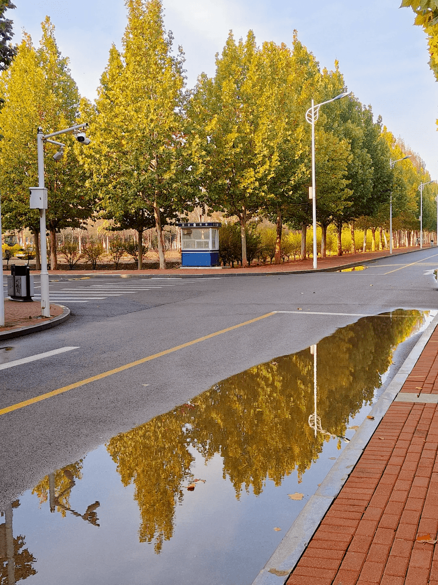 Amy Stevens tweet media