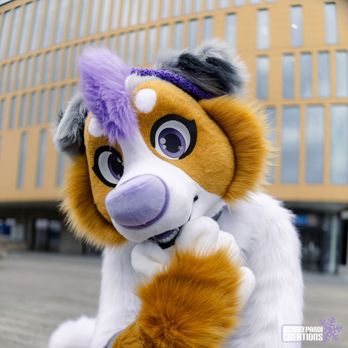 SchneepardiCreations 🔜 TBD tweet media