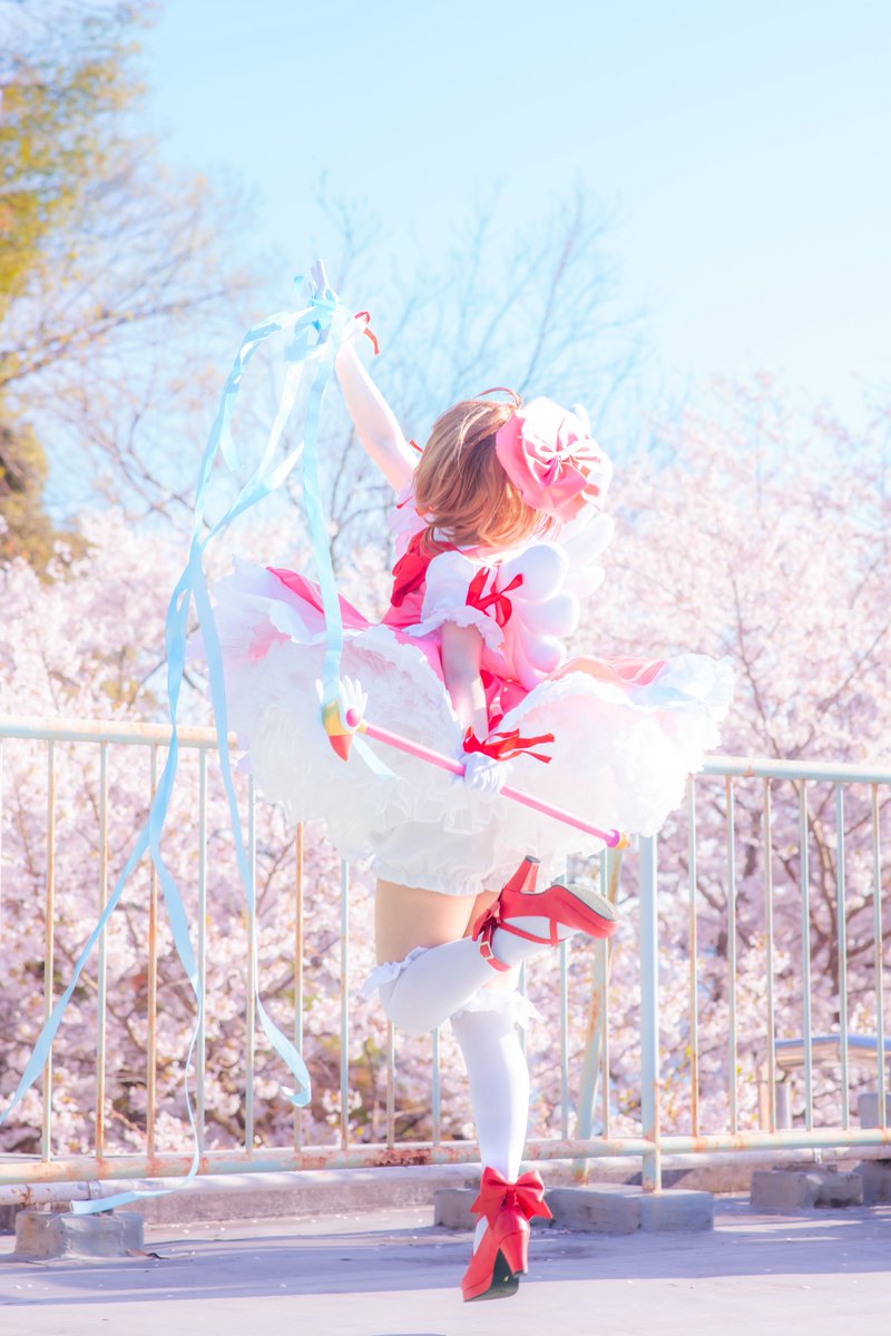 ラインハルト🌸🐈⭐️ tweet media