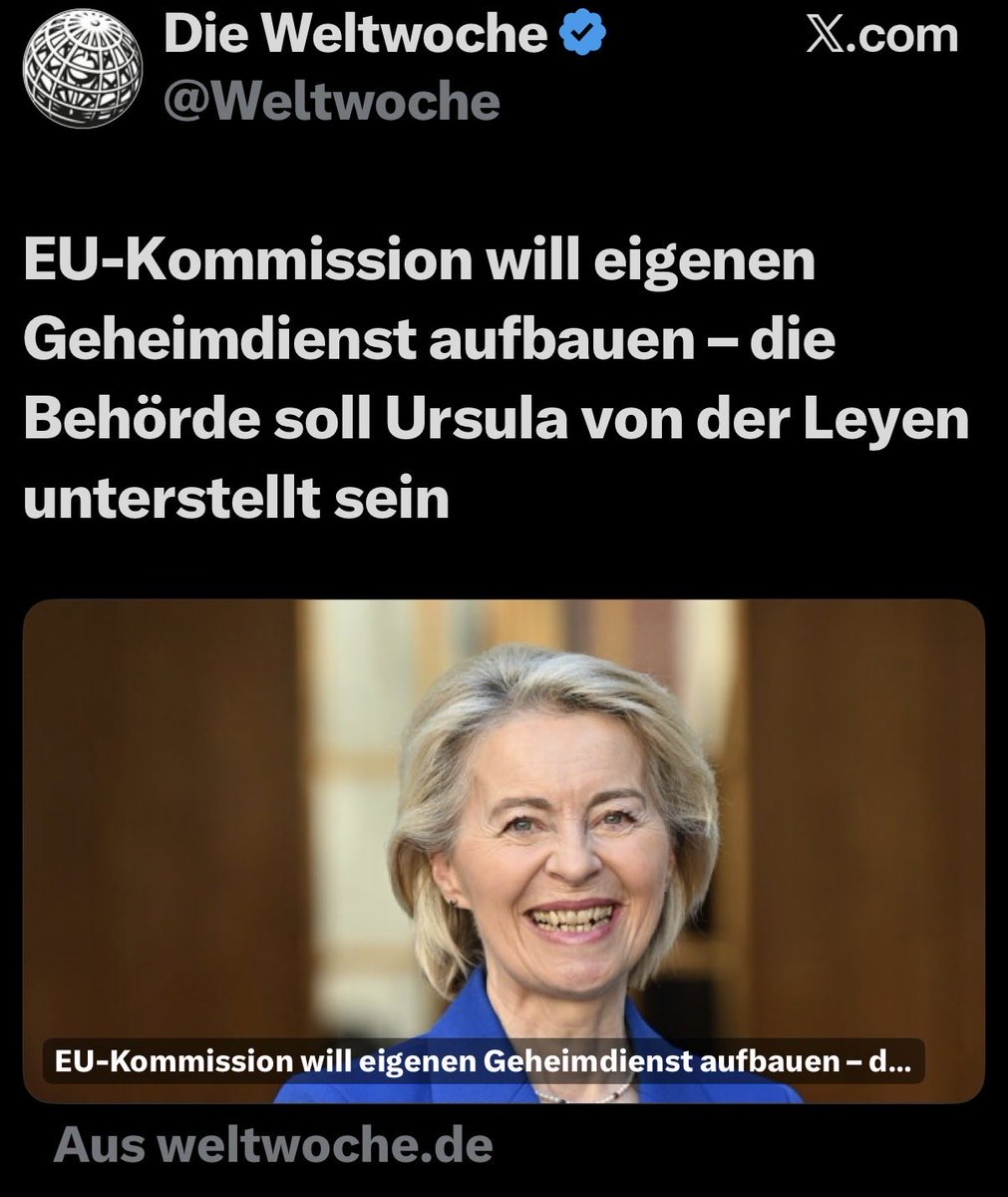 Michael 🇩🇪 tweet media