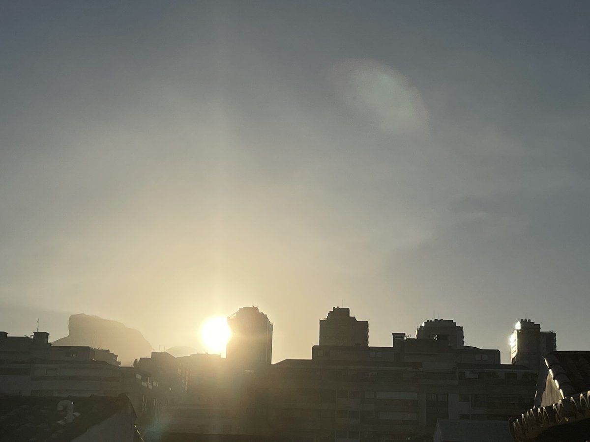 ☭Reinaldo Pellegrino ★彡🚩 tweet media