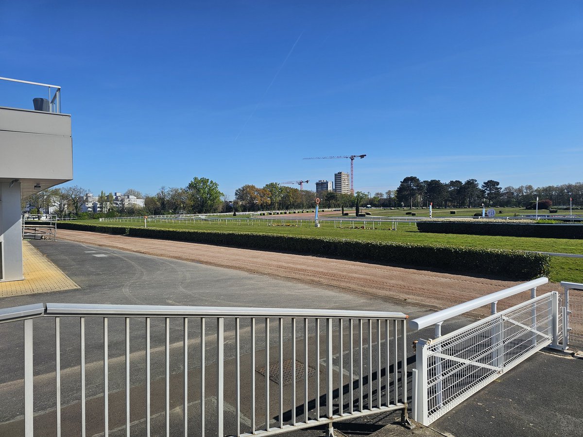 Mike Parcej tweet media