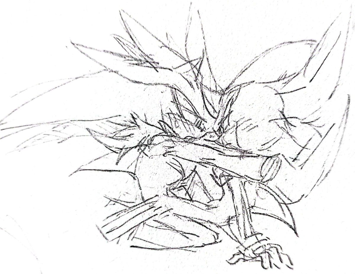 Flld_味 tweet media