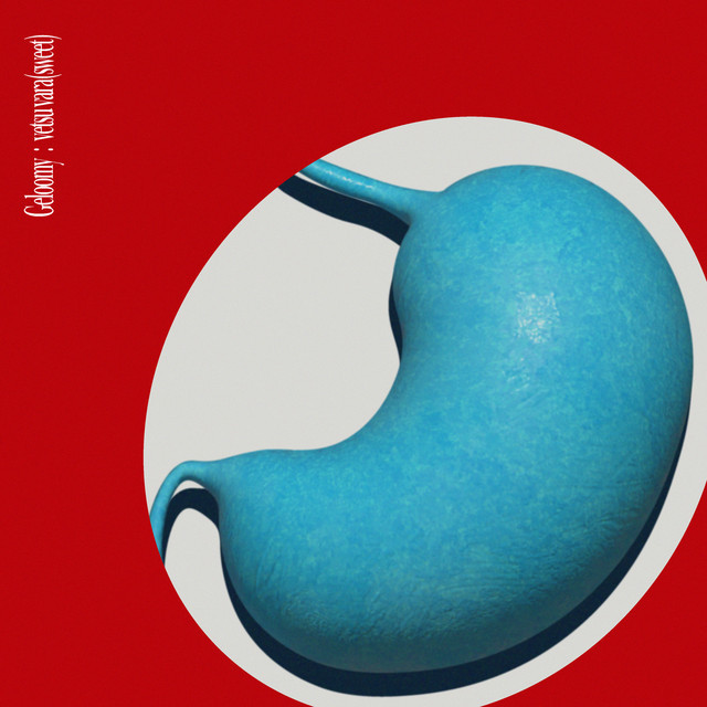 フェリオス tweet media