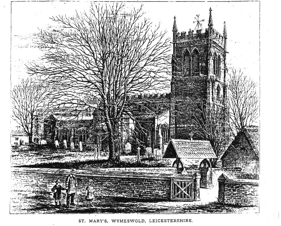 Prof Elizabeth Tingle 🐢 tweet media