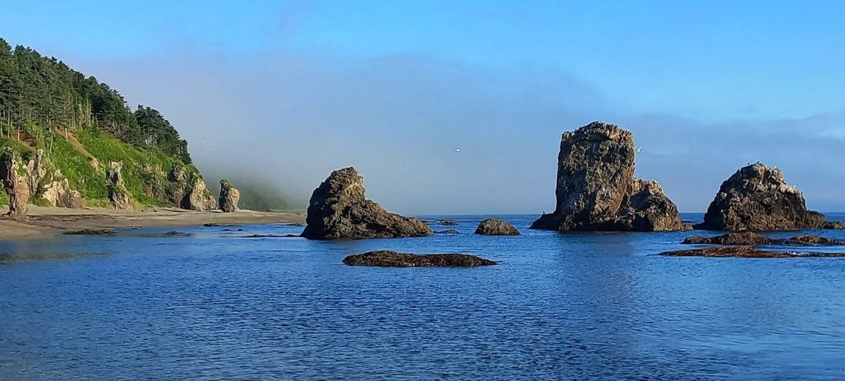 Botschaft der Russischen Föderation tweet media