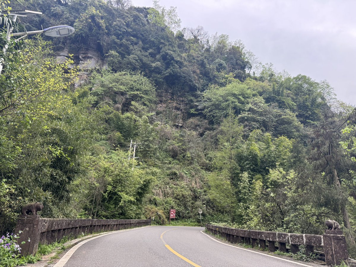 毎日パンダ tweet media