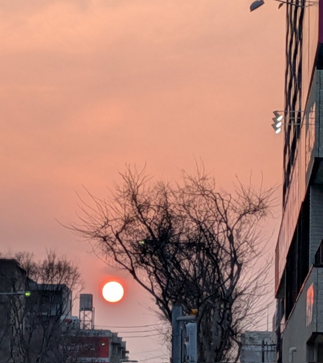 🎶じゅんじゅん🎶 tweet media